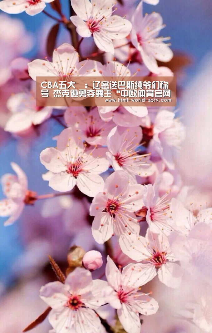 CBA五大囧:辽密送巴斯纯爷们称号 杰克逊勇夺舞王“中欧体育官网”(图4) zoty体育