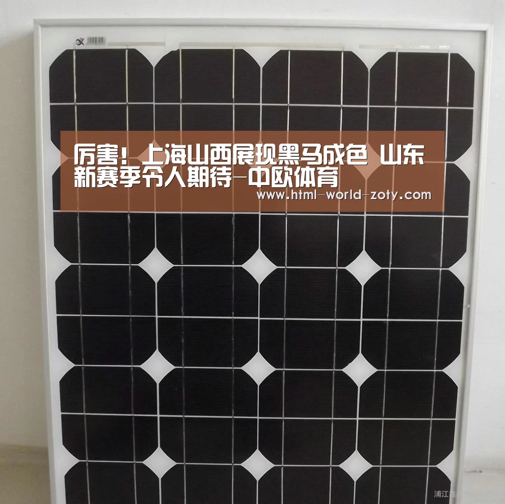 厉害!上海山西展现黑马成色 山东新赛季令人期待-中欧体育(图1) 中欧体育