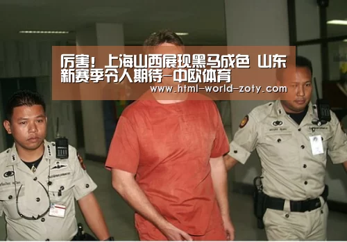 厉害!上海山西展现黑马成色 山东新赛季令人期待-中欧体育(图2) zoty体育