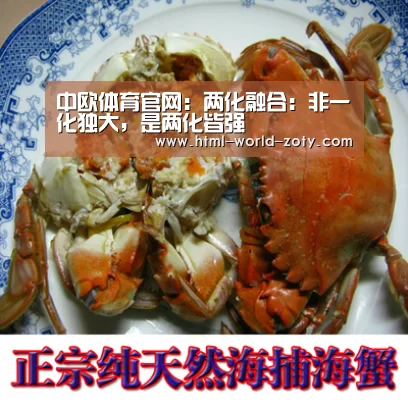 中欧体育官网