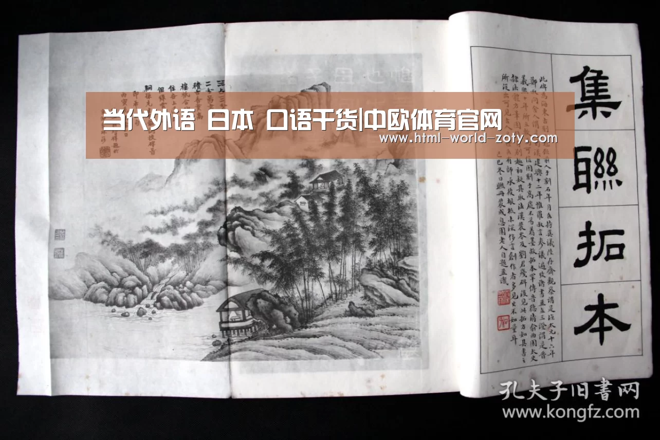 中欧体育平台