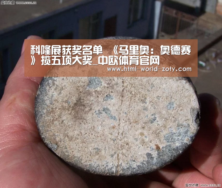 科隆展获奖名单 《马里奥:奥德赛》揽五项大奖_中欧体育官网(图1) zoty体育