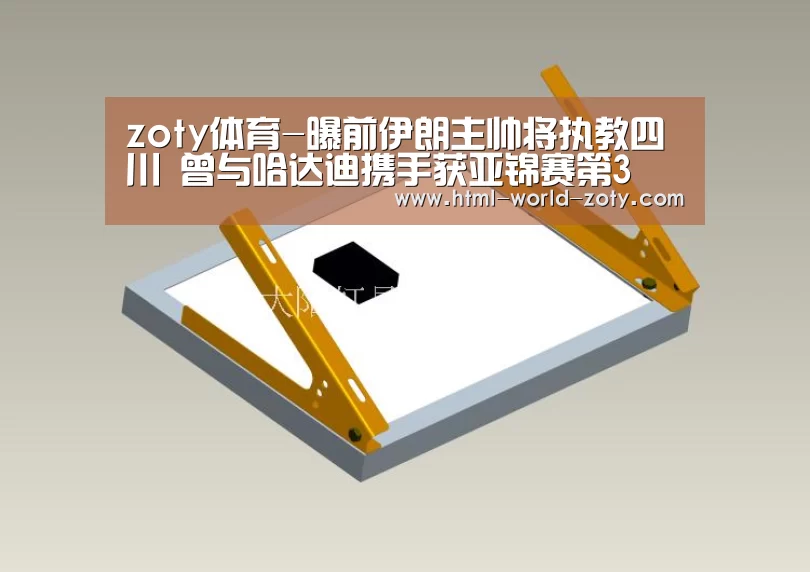 中欧体育