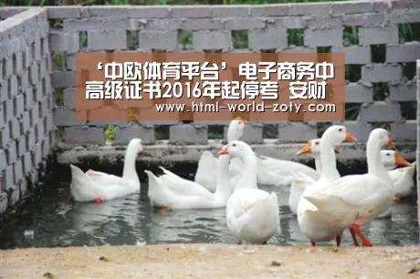 ‘中欧体育平台’电子商务中高级证书2016年起停考 安财大负责考核实践课(图1) 中欧体育