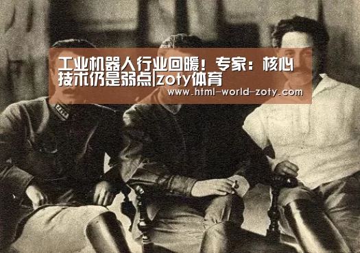 工业机器人行业回暖！专家：核心技术仍是弱点|zoty体育