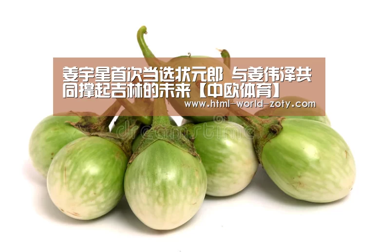 姜宇星首次当选状元郎 与姜伟泽共同撑起吉林的未来【中欧体育】(图2) zoty体育